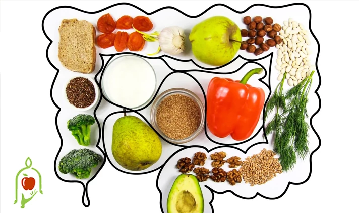 اصول کلی رژیم غذایی برای بهبود سلامت گوارش