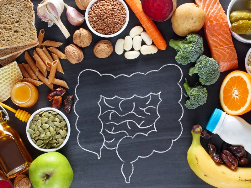 غذاهای مفید برای تقویت دستگاه گوارش